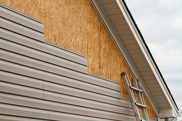 Professional Wood Siding technician working in Mulberry, FL